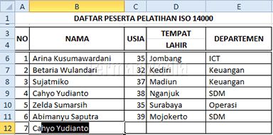 Menonaktifkan fitur AutoComplete Microsoft Excel