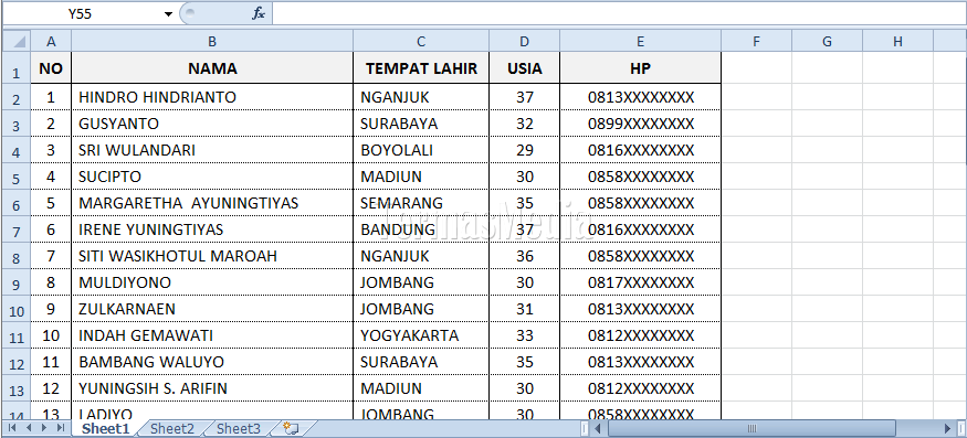 Memperbesar tampilan data tertentu di Microsoft Office Excel