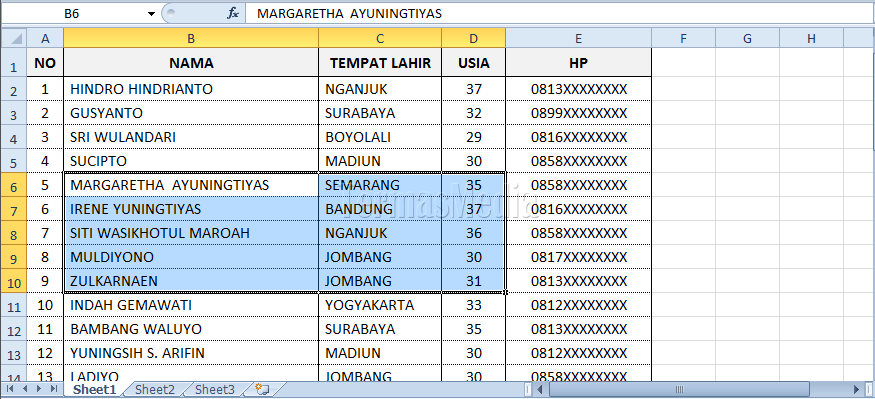 Memperbesar tampilan data tertentu di Microsoft Office Excel
