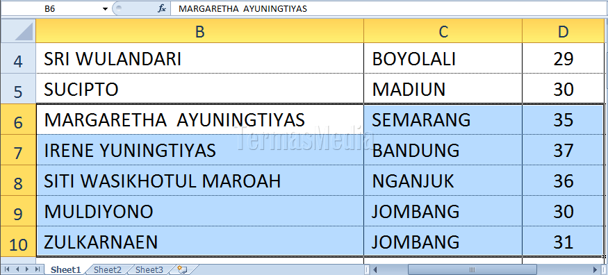 Memperbesar tampilan data tertentu di Microsoft Office Excel
