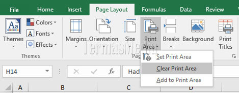 Mencetak hanya area terseleksi dari lembar kerja (worksheet) Microsoft Excel