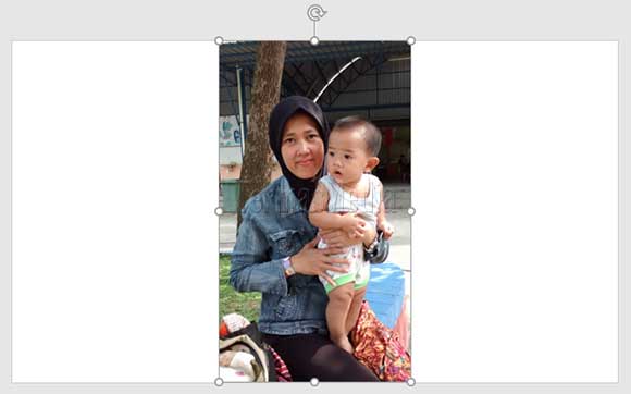 Cara memotong bambar menjadi bentuk lingkaran di Microsoft PowerPoint