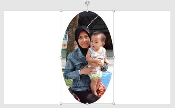 Cara memotong bambar menjadi bentuk lingkaran di Microsoft PowerPoint