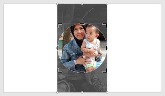 Cara memotong bambar menjadi bentuk lingkaran di Microsoft PowerPoint