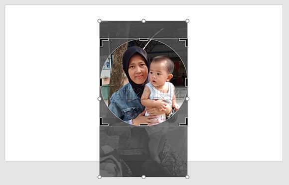 Cara memotong bambar menjadi bentuk lingkaran di Microsoft PowerPoint