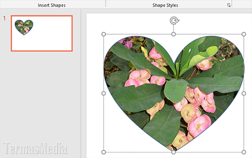 Mengisi shape dengan gambar atau memasukkan gambar ke dalam shape di slide PowerPoint