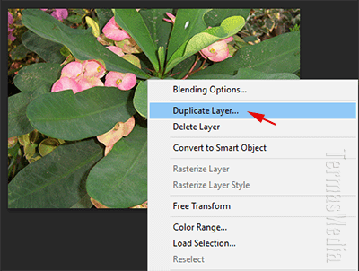 Cara menduplikasi layer di Adobe Photoshop