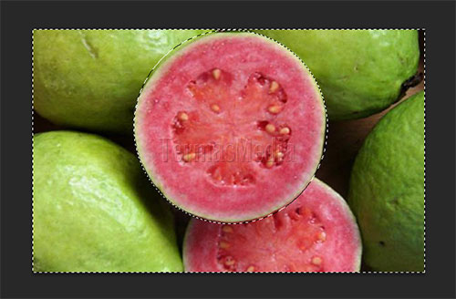 Membuat efek blur menggunakan adobe photoshop