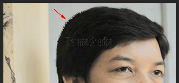 Menggunakan Pen Tool untuk menyeleksi bagian gambar tertentu di Adobe Photoshop