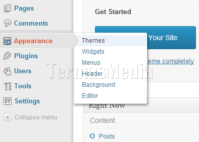 Memasang (install) dan mengaktifkan tema (theme) Wordpress